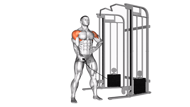 Animation Elevation laterale un bras (Poulie)