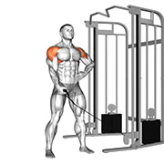 Elevation laterale un bras (Poulie)