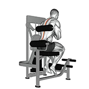 Extension dorsale (Machine)