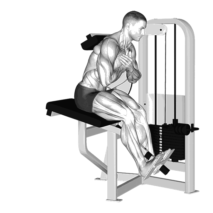 Animation Extension lombaire (Machine)