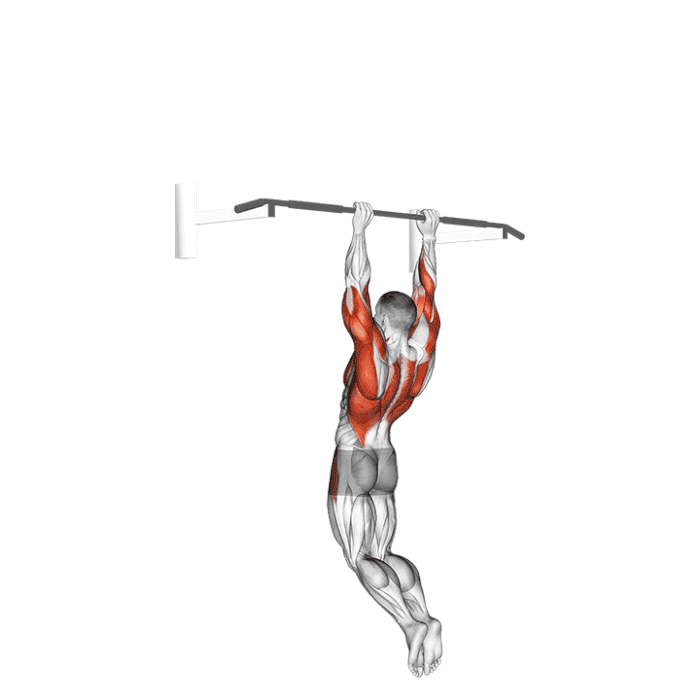 Animation Muscle-up