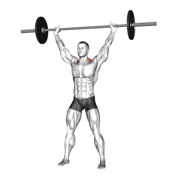 Animation Overhead shrug