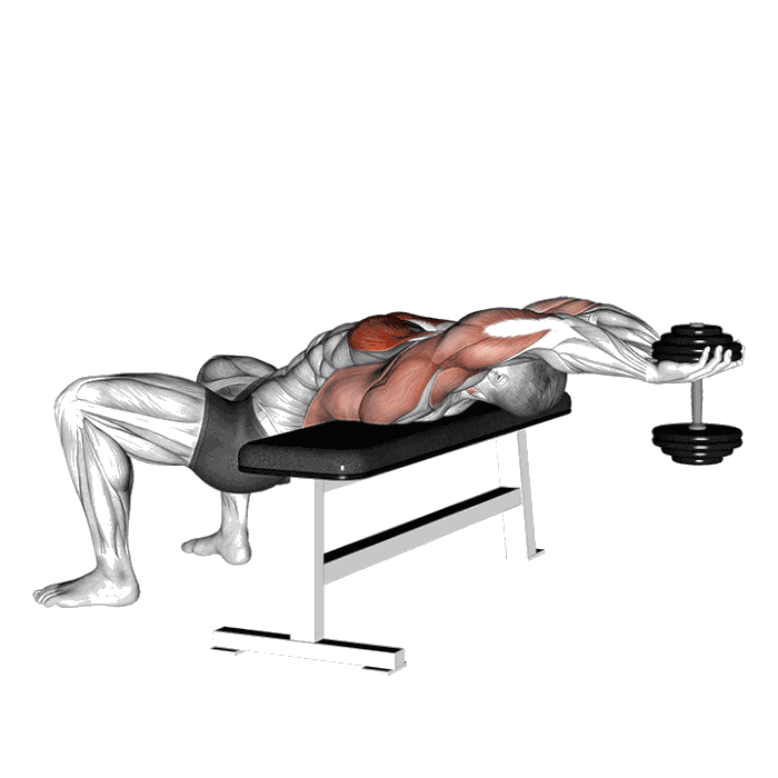 Animation Pullover (Haltère)