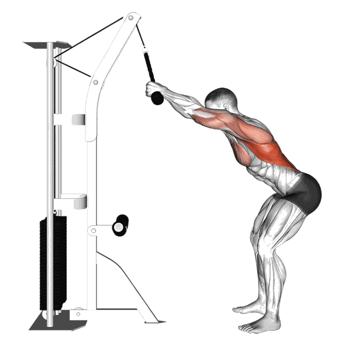 Animation Pullover (Poulie)