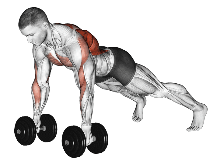 Animation Renegade row