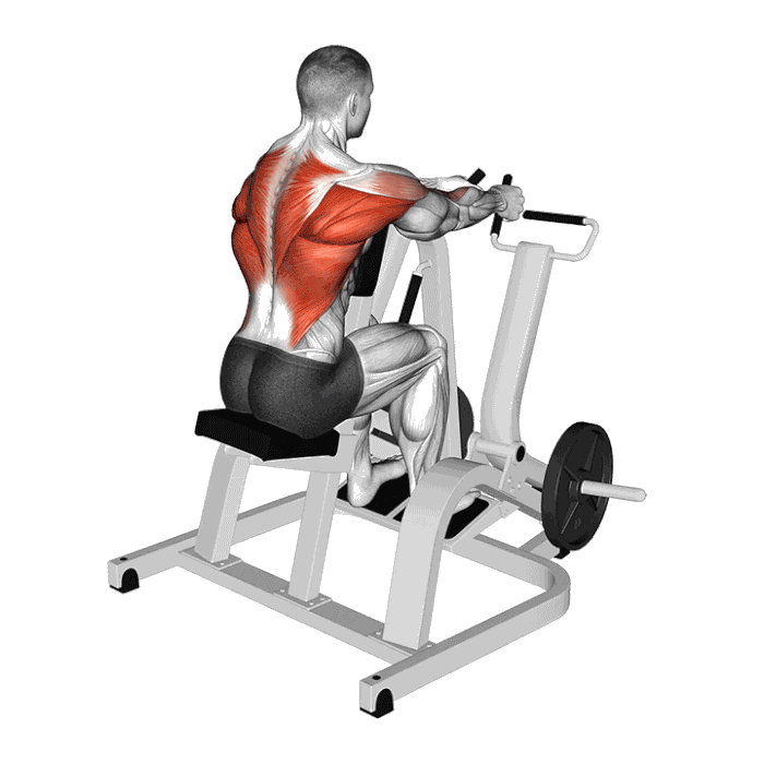 Animation Rowing assis machine Hammer Strength