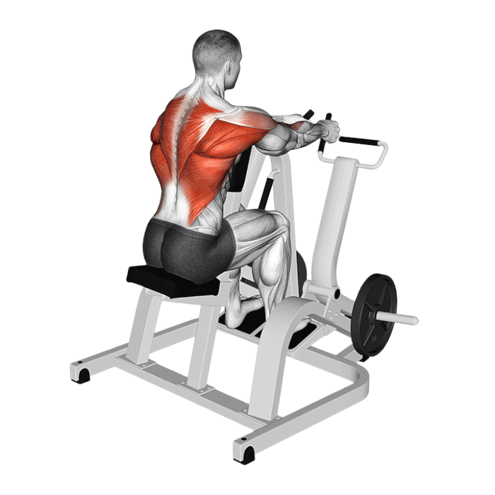 Rowing assis machine Hammer Strength