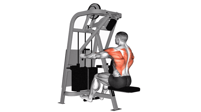 Animation Rowing assis (Machine)