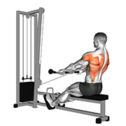 Rowing assis prise en barre (Poulie)