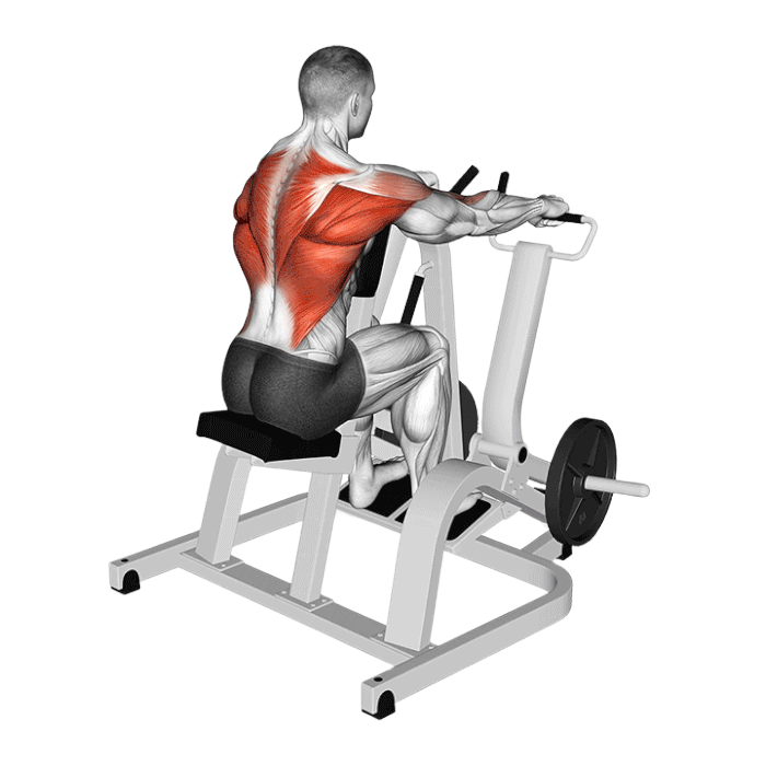 Rowing assis pronation (Machine)