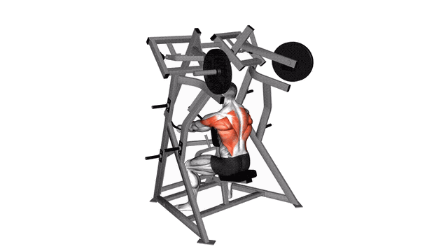 Animation Rowing bas iso-lateral (Machine)