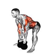 Rowing gorille (Kettlebell)