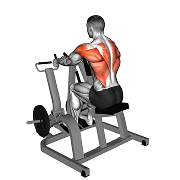 Rowing iso-lateral (Machine)