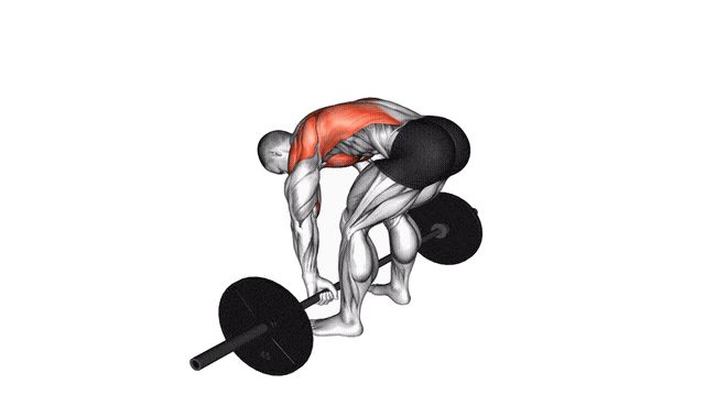 Animation Rowing Pendlay (Barre)