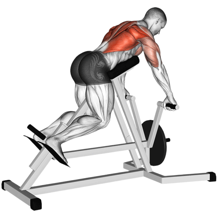 Rowing T-bar (Machine)