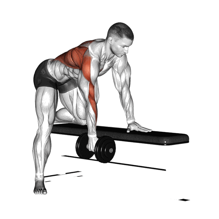 Animation Rowing un bras (Haltère)