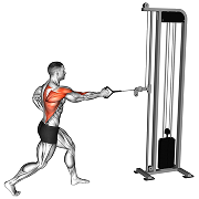 Rowing un bras (Poulie)