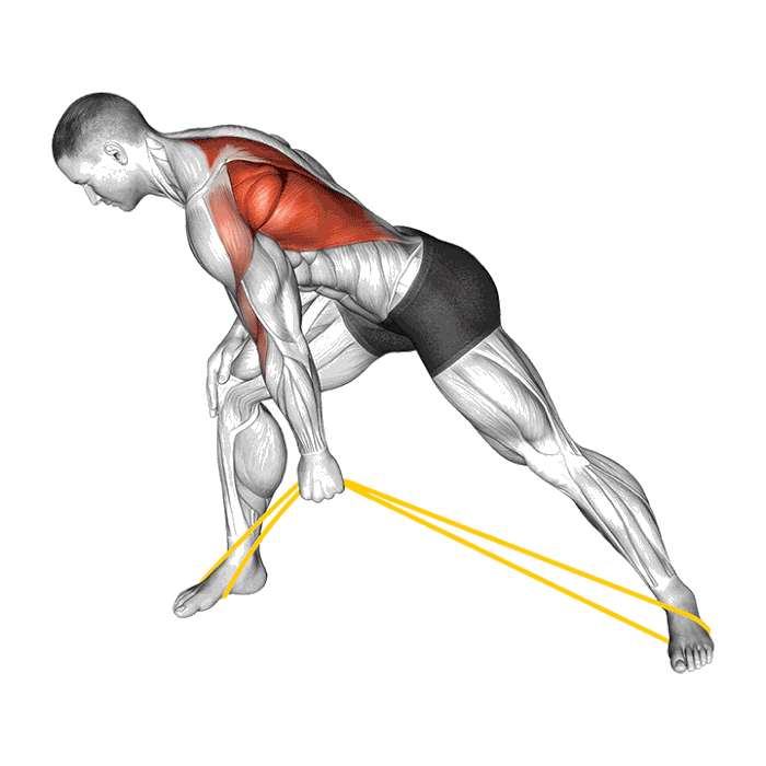 Animation Rowing unilatéral (Élastique)