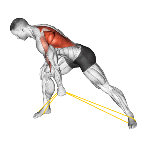 Rowing unilatéral (Élastique)