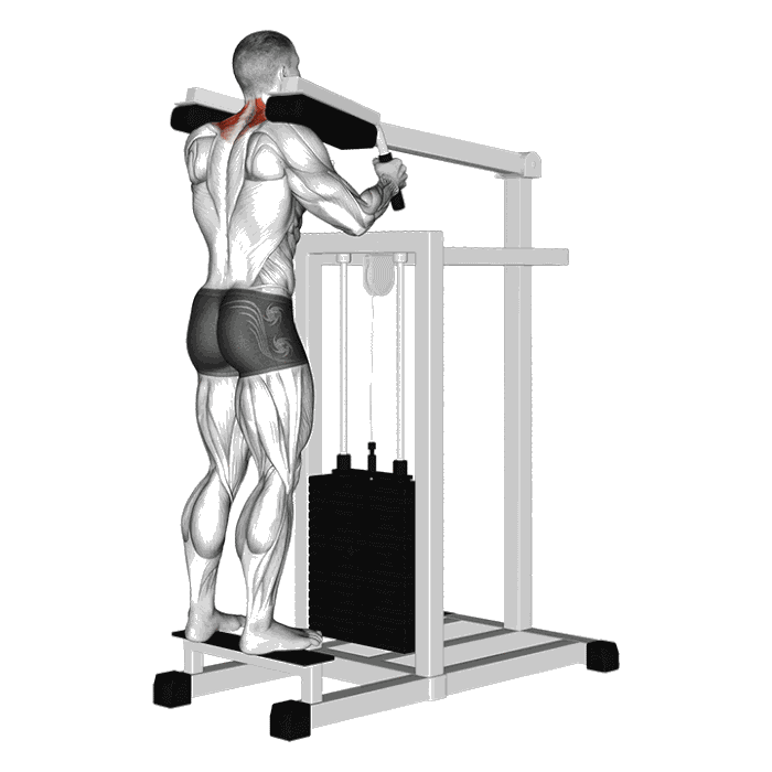 Animation Shrug à la machine à mollets