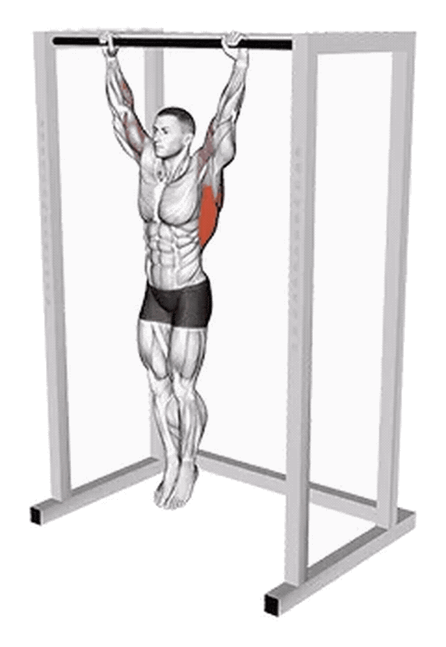 Animation Suspension statique