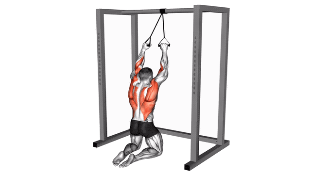 Animation Tirage genoux au sol (Elastique)