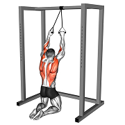 Tirage genoux au sol (Elastique)