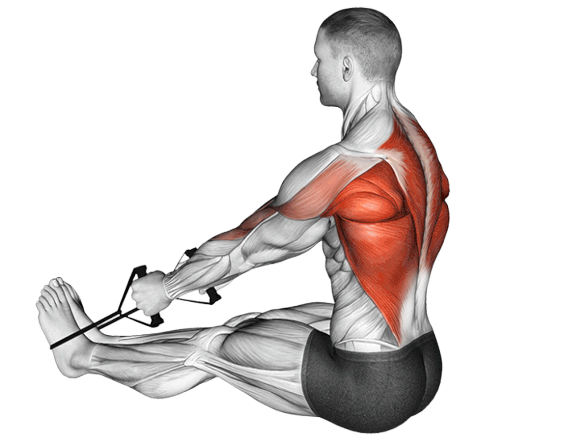 Tirage horizontal (Élastique)