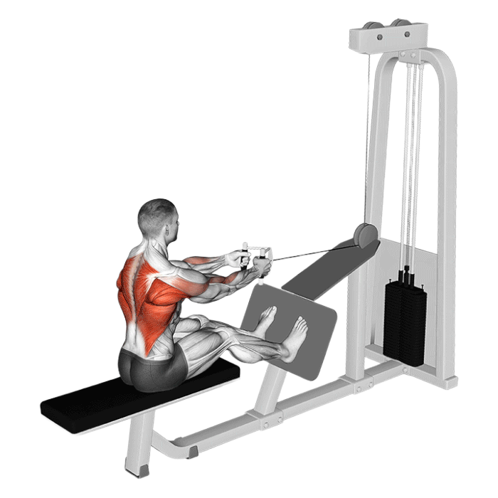 Tirage horizontal (Poulie)