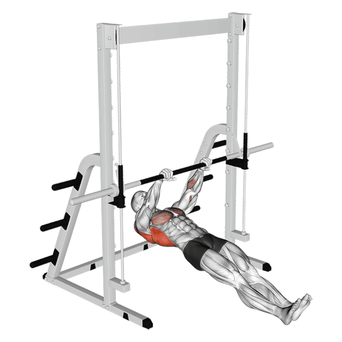 Animation Traction australienne