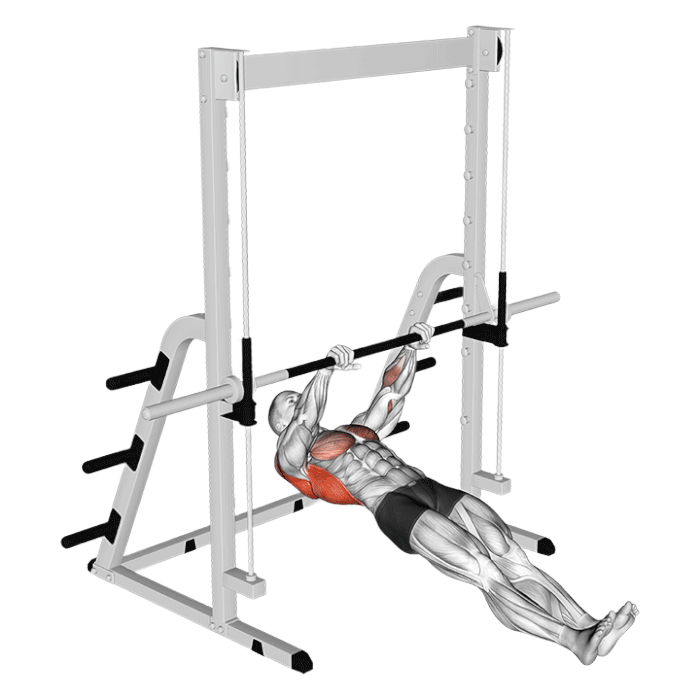 Traction australienne