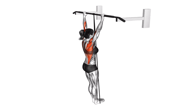 Animation Traction (Elastique)