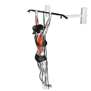 Traction (Elastique)