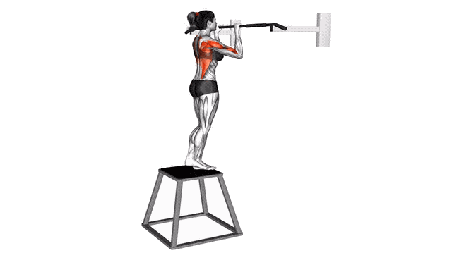 Animation Traction negative