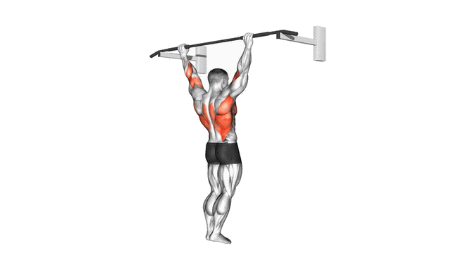 Animation Traction prise large