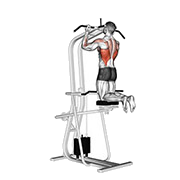 Traction prise supination (Assistee)