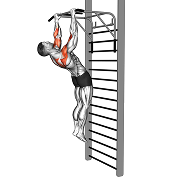 Traction sternum (Gironda)