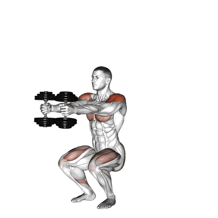 Animation Croix de fer avec haltères