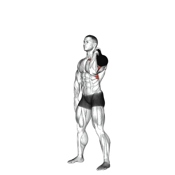 Animation Développé épaule (Kettlebell)