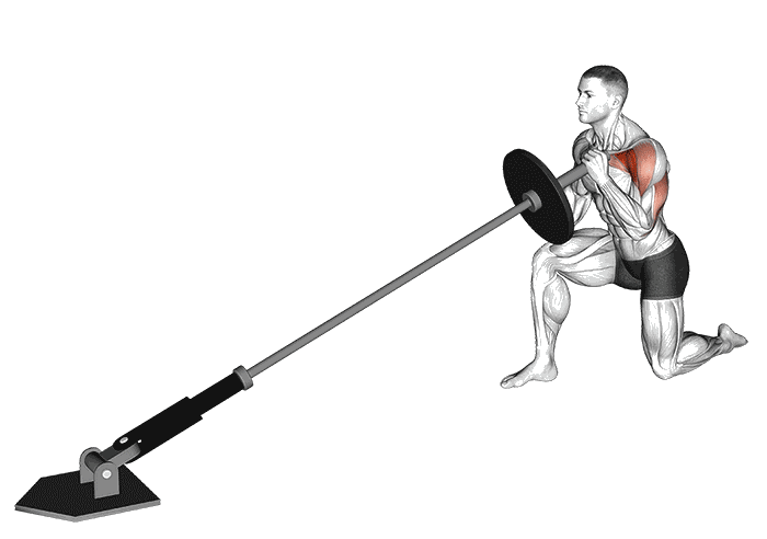 Animation Développé épaule unilatéral à genou avec landmine