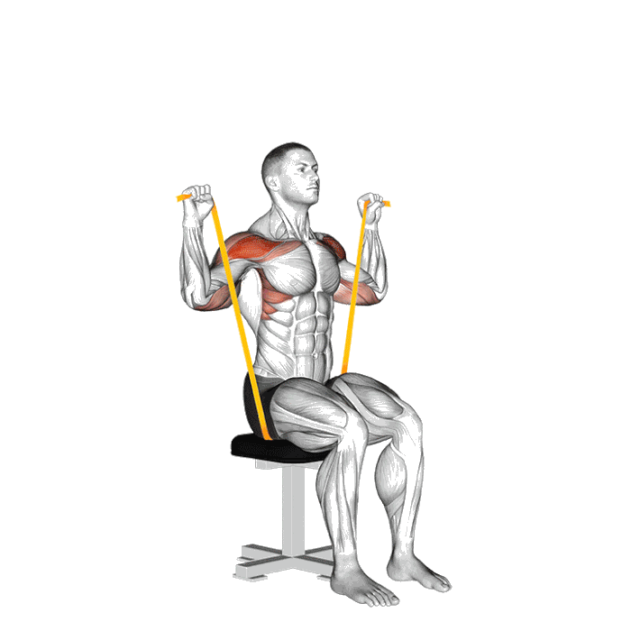 Animation Développé épaules assis (Élastique)