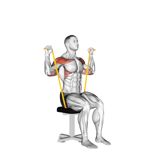 Développé épaules assis (Élastique)