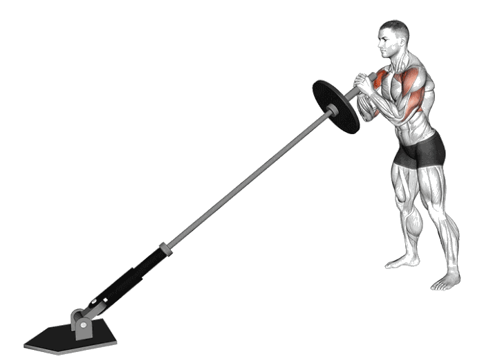 Animation Développé épaules debout à la landmine