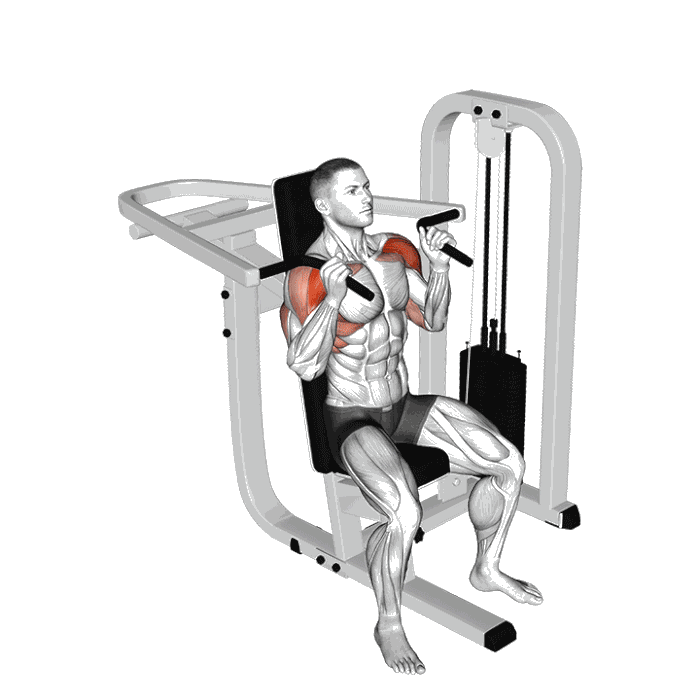 Animation Développé épaules (Machine)