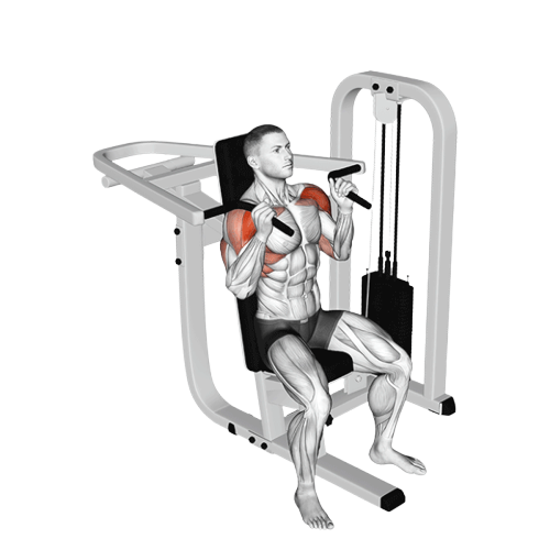 Développé épaules (Machine)