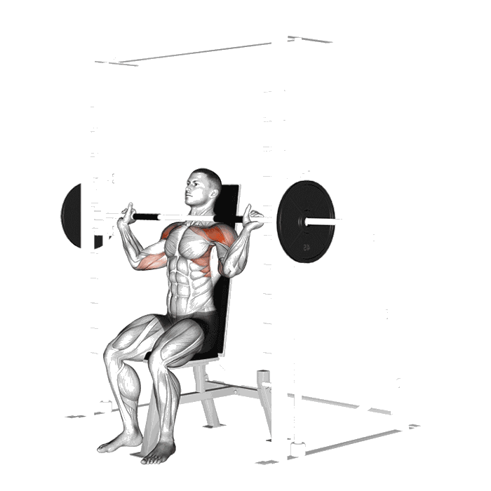 Animation Développé épaules Smith Machine
