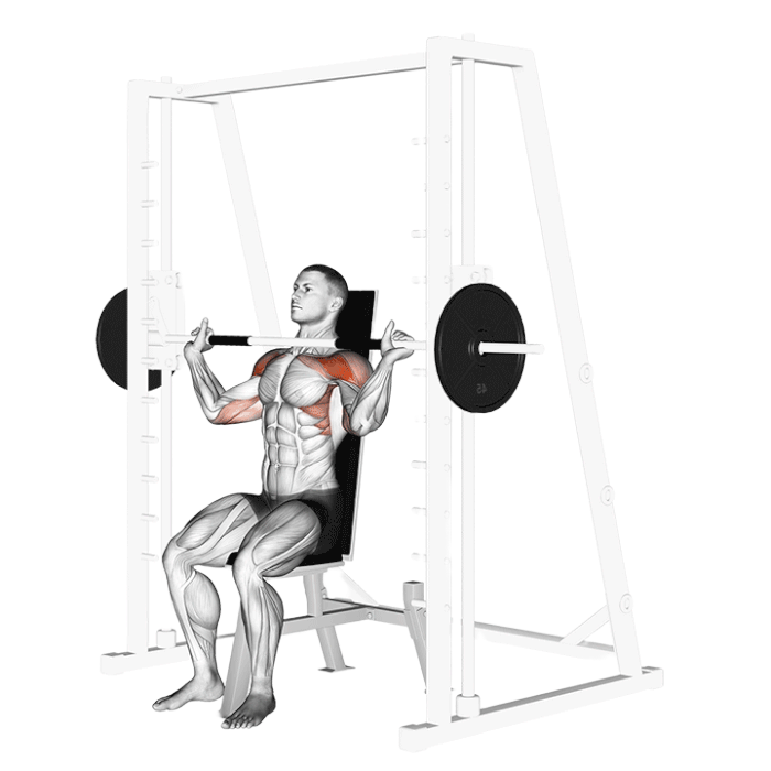 Développé épaules Smith Machine