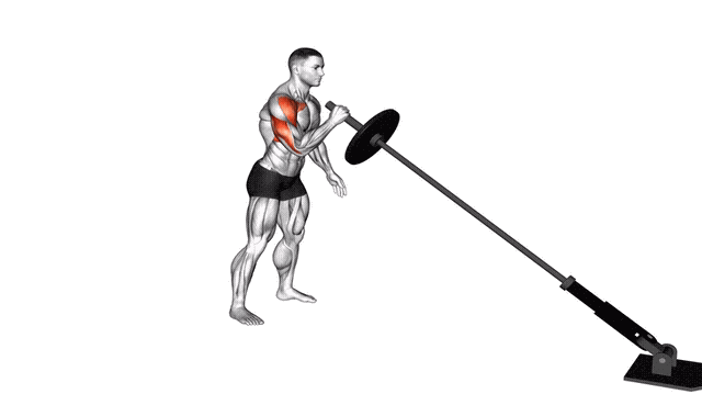 Animation Developpe Landmine un bras (Barre)