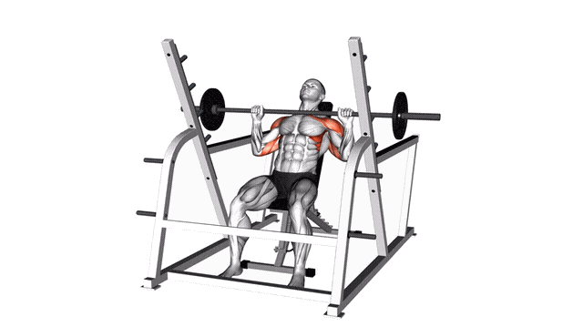 Animation Developpe militaire assis (Barre)