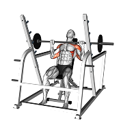 Developpe militaire assis (Barre)